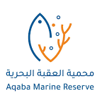 Sharkbook AI logo