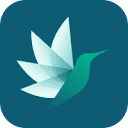 Bayesian Health