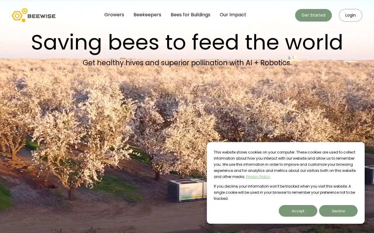 BeeWise — preview