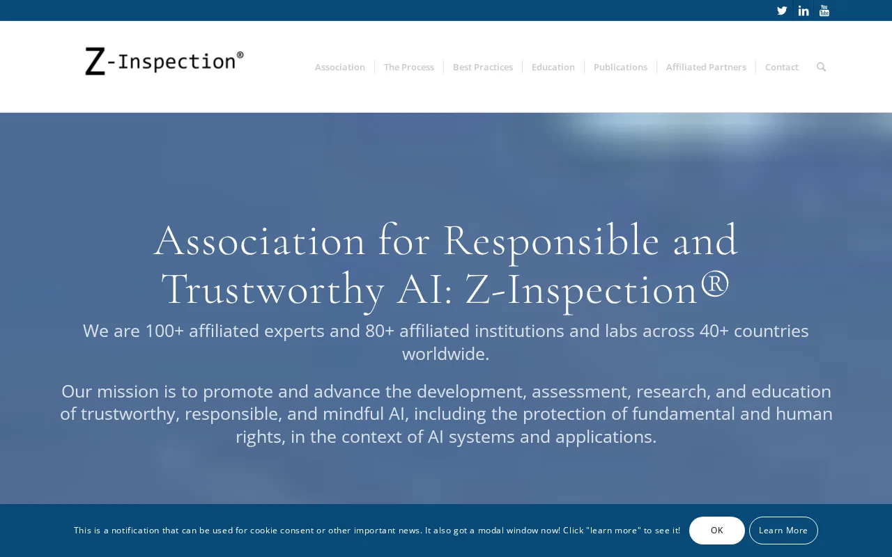 Z-Inspection — preview