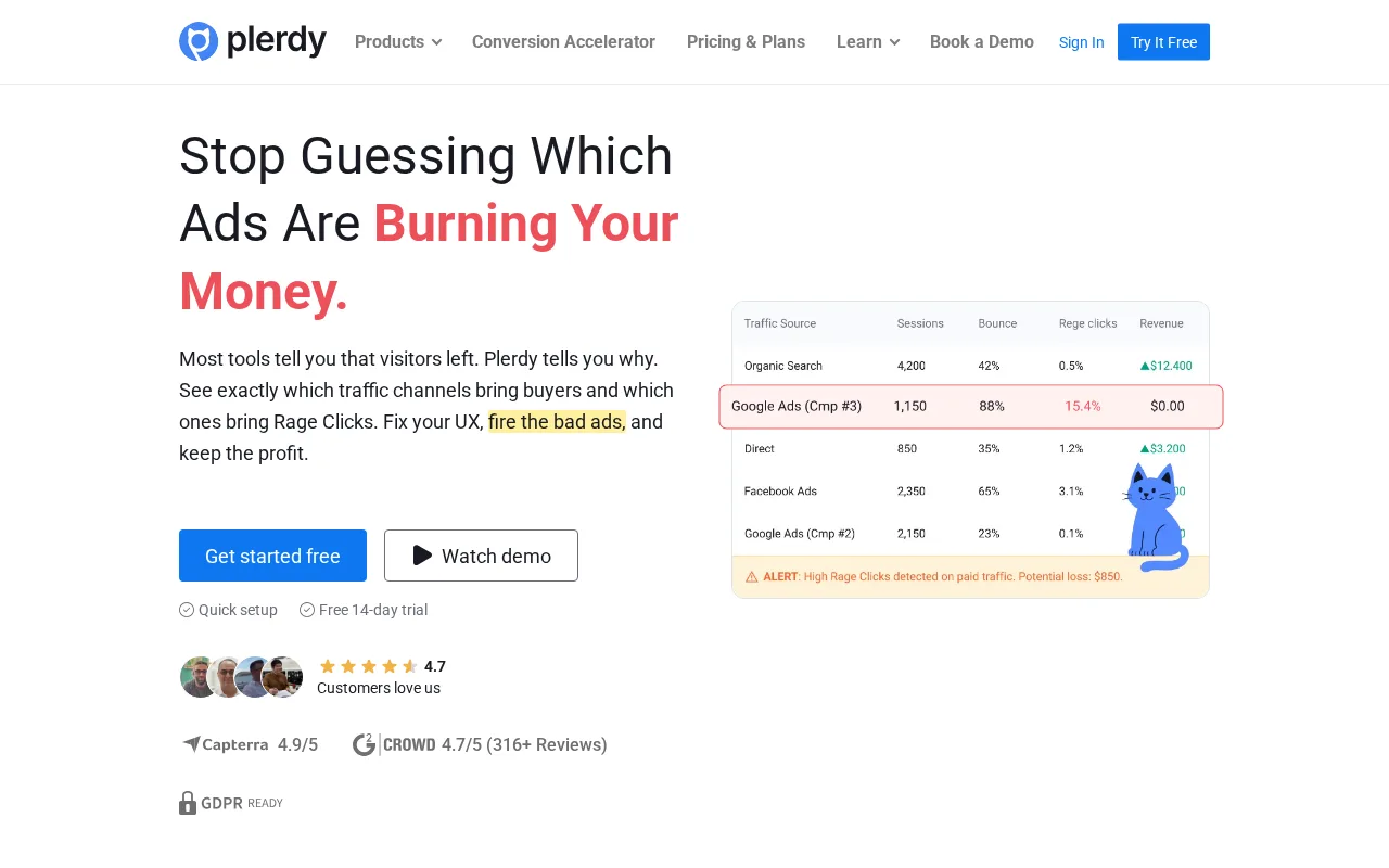 Plerdy — preview