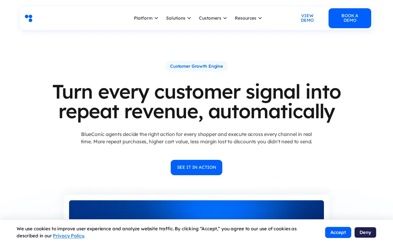BlueConic — preview
