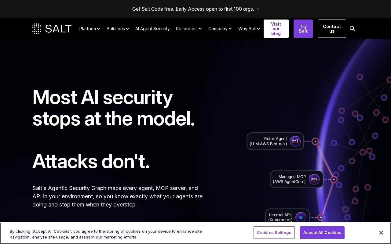 Salt Security — preview