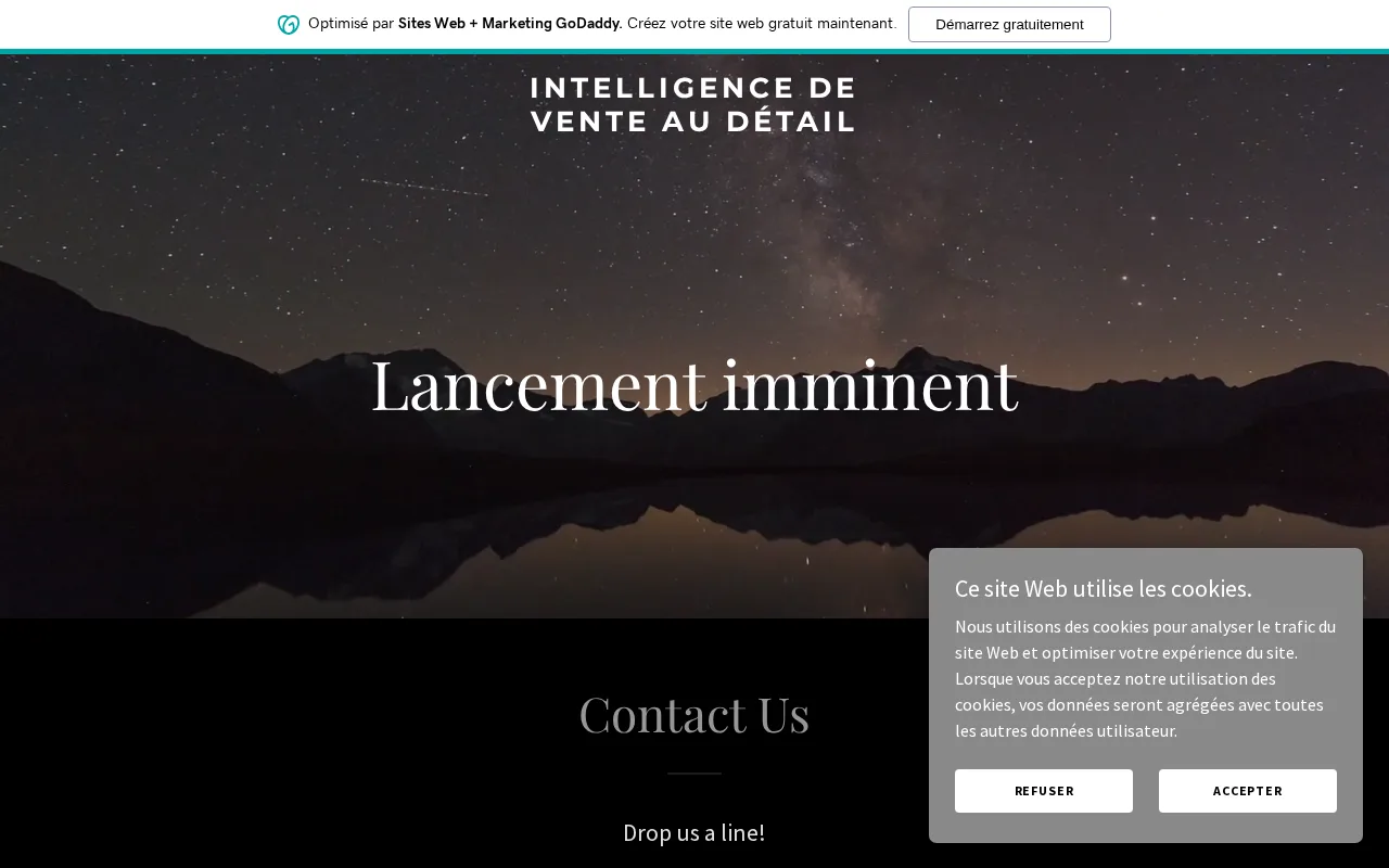 RetailAI — preview