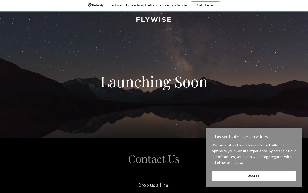 FlyWise AI — preview