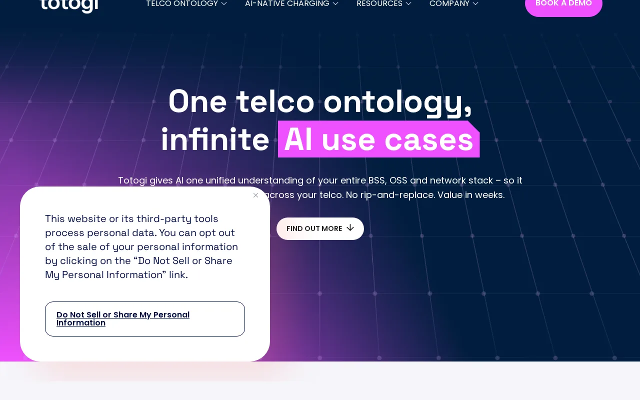 Totogi — preview