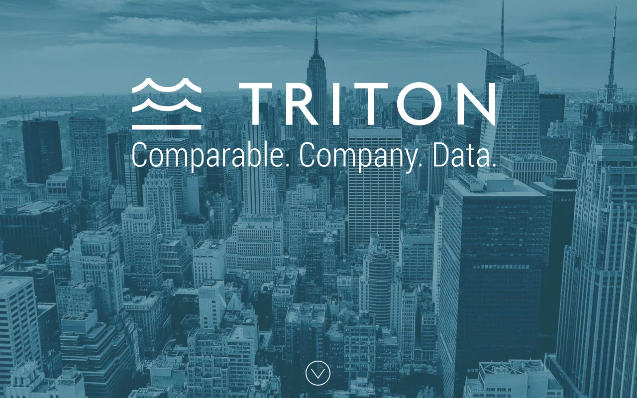 Triton AI — preview