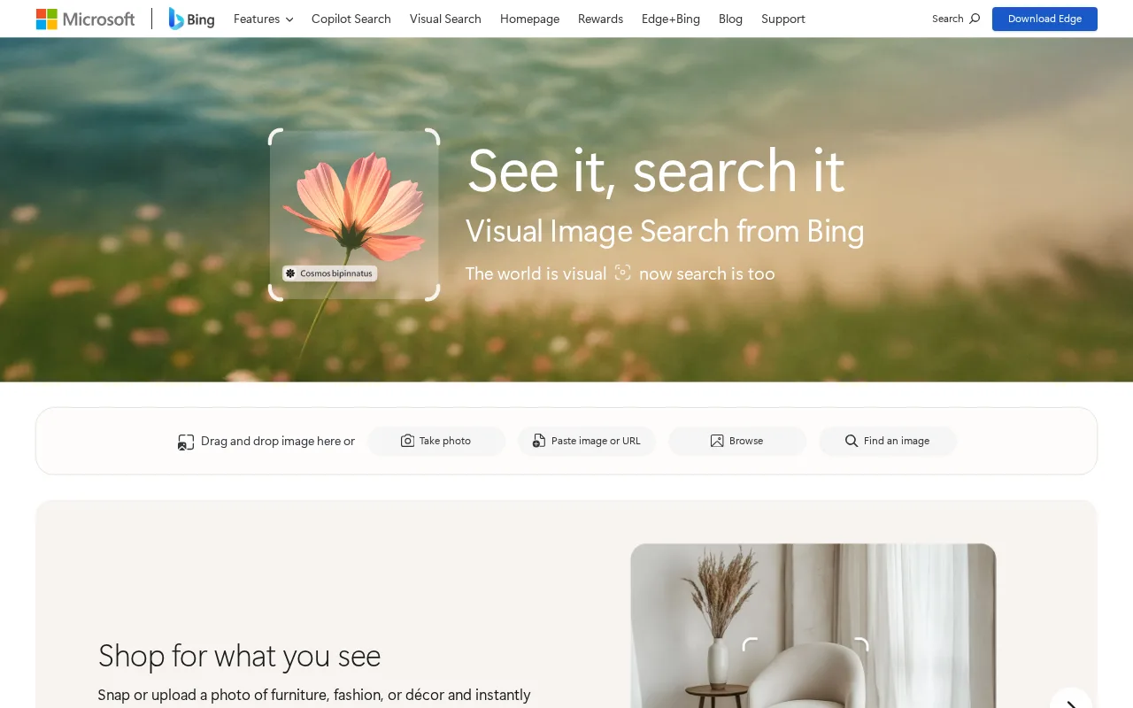 Bing Visual Search — preview