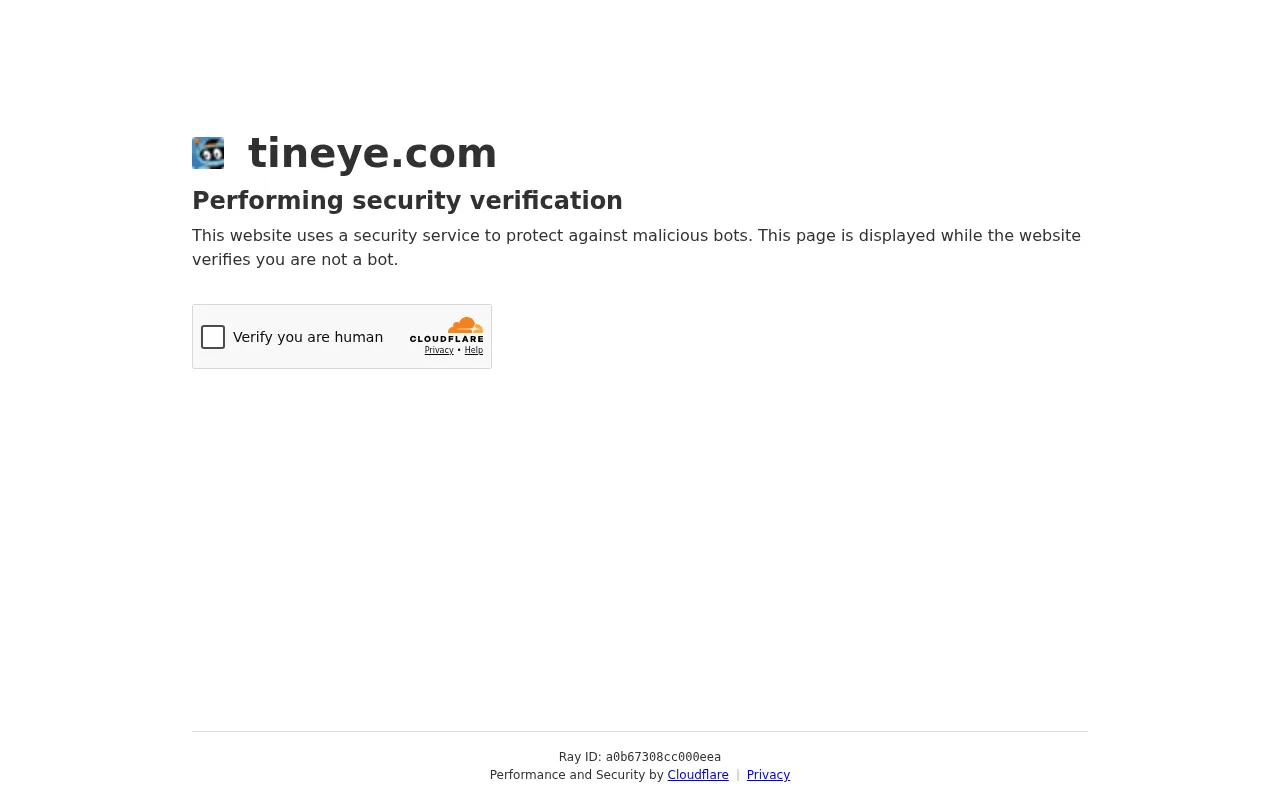 TinEye — preview