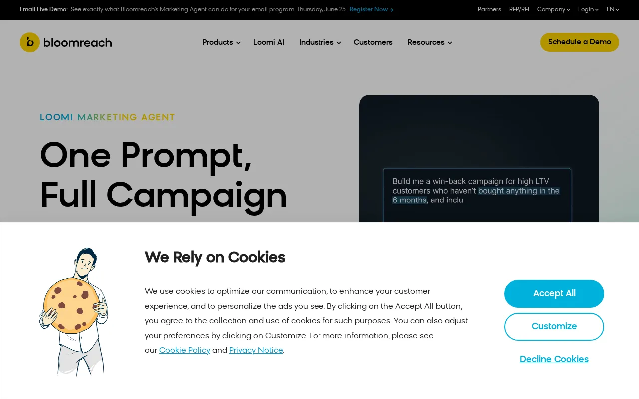 Bloomreach — preview