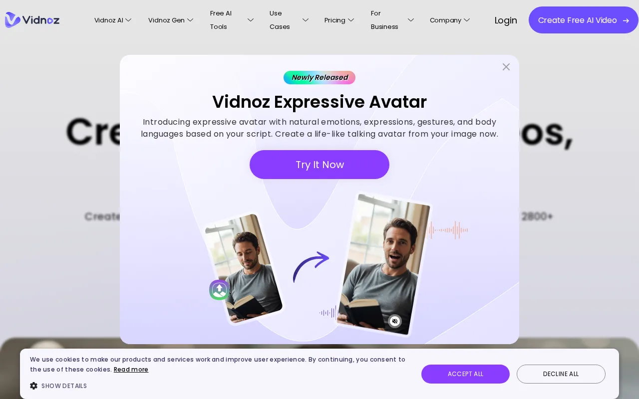 Vidnoz — preview