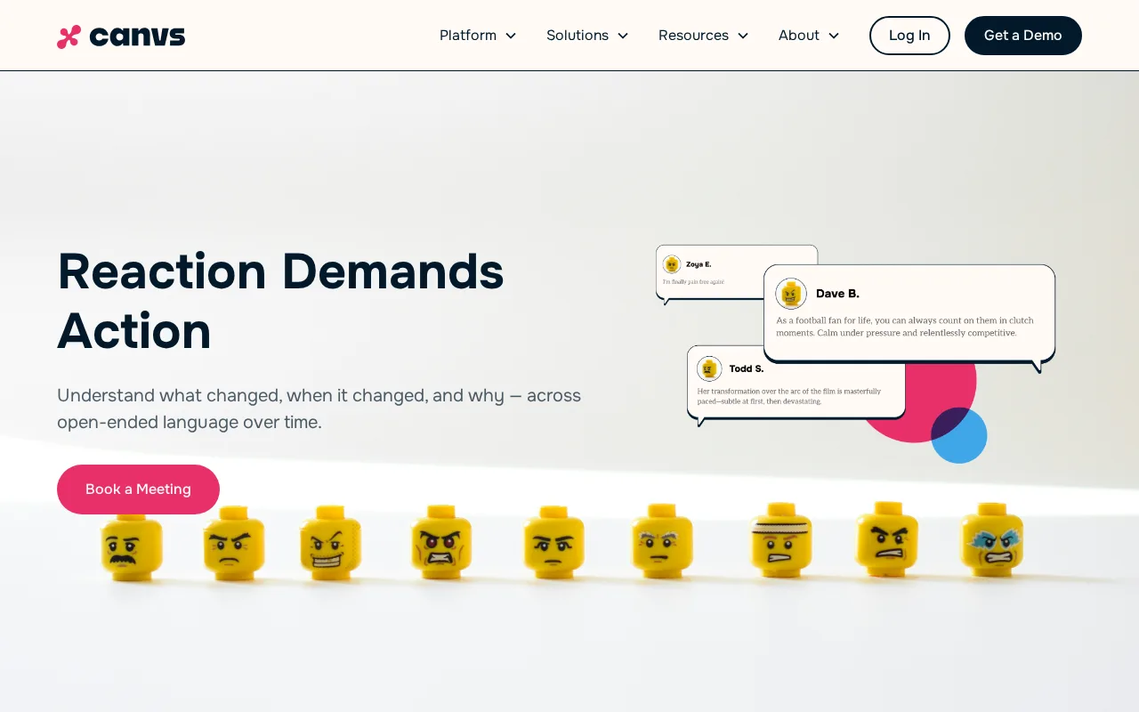 Canvs AI — preview